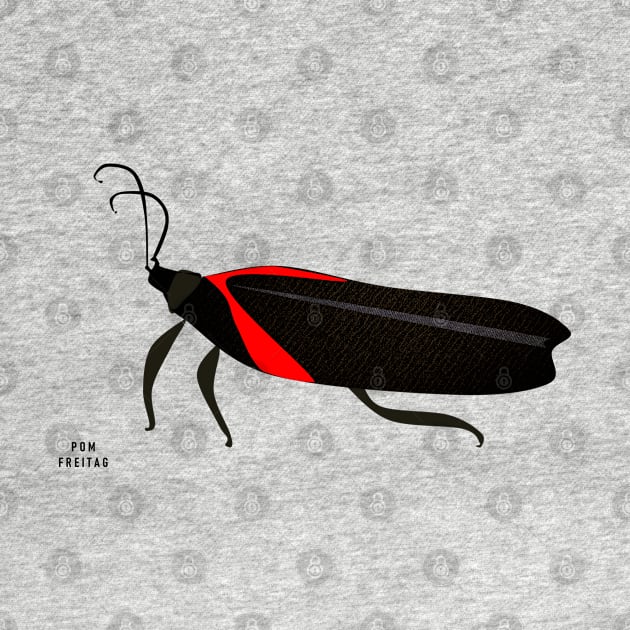 Boxelder bug : by Annie Pom Freitag